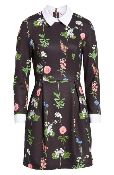 Shop Ted Baker Matredi Florence Point Collar Dress In Black