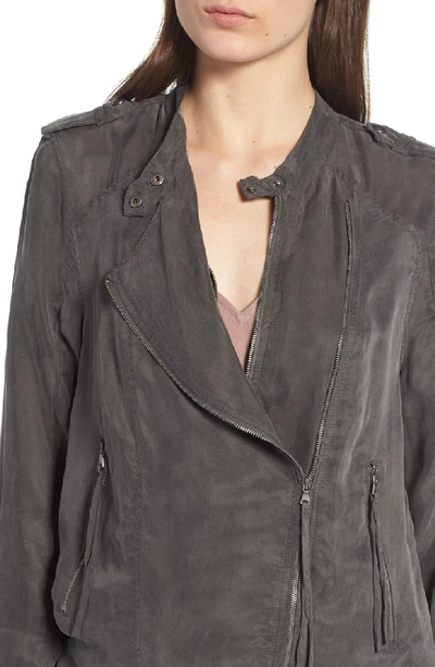 Blanknyc Paystub Jacket In Paystub