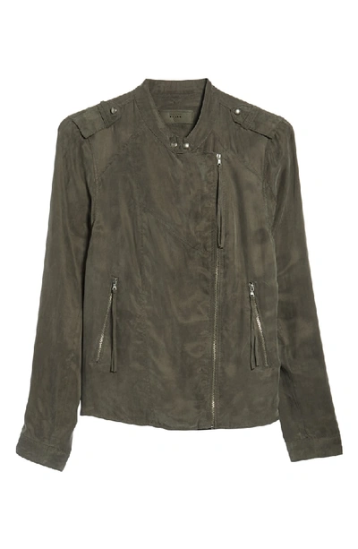 Blanknyc Paystub Jacket In Paystub