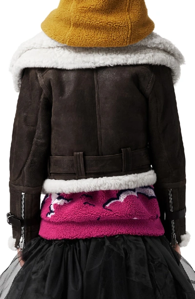 Shop Burberry Reissued Genuine Shearling Aviator In Chocolate