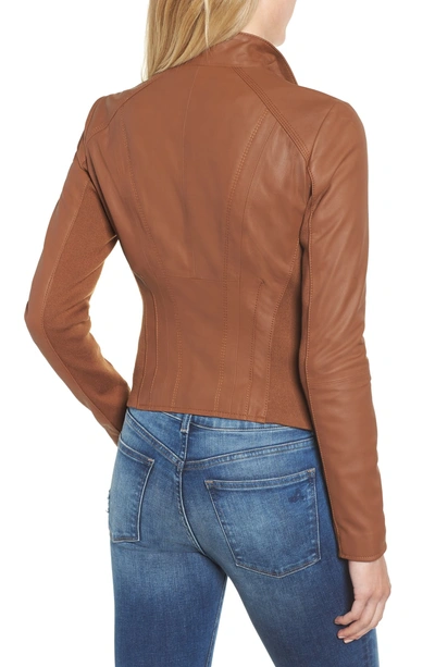 Shop Andrew Marc Felix Stand Collar Leather Jacket In Whiskey