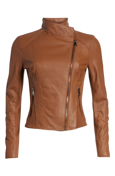 Shop Andrew Marc Felix Stand Collar Leather Jacket In Whiskey