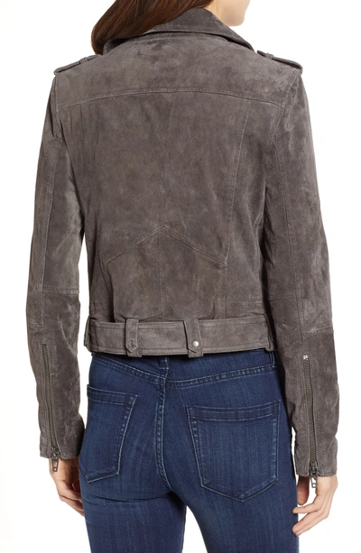 Shop Blanknyc Morning Suede Moto Jacket In French Grey