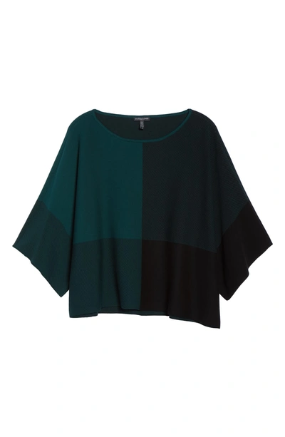 Shop Eileen Fisher Colorblock Tencel Lyocell Sweater In Pine