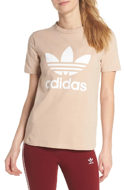 Shop Adidas Originals Adidas Trefoil Tee In Ash Pearl / White