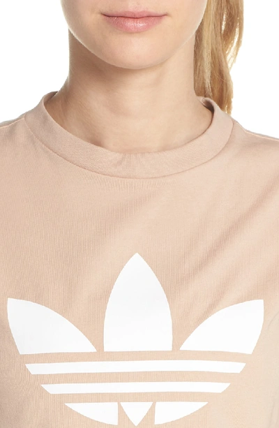 Shop Adidas Originals Adidas Trefoil Tee In Ash Pearl / White