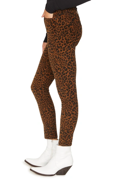 Shop Sanctuary Leopard Affair Corduroy Pants