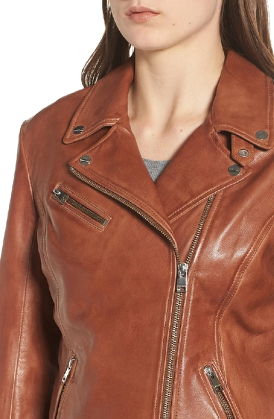 Shop Lamarque Asymmetrical Zip Leather Biker Jacket In Luggage