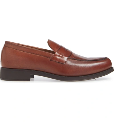 Shop Vince Camuto Nait Penny Loafer In Cognac Leather