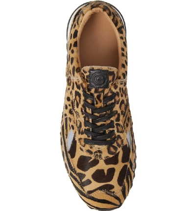 Shop Greats Pronto Genuine Calf Hair Sneaker In Animal Print Calf Hair