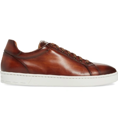 Shop Magnanni Elonso Low Top Sneaker In Cognac Leather