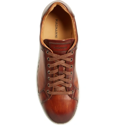 Shop Magnanni Elonso Low Top Sneaker In Cognac Leather