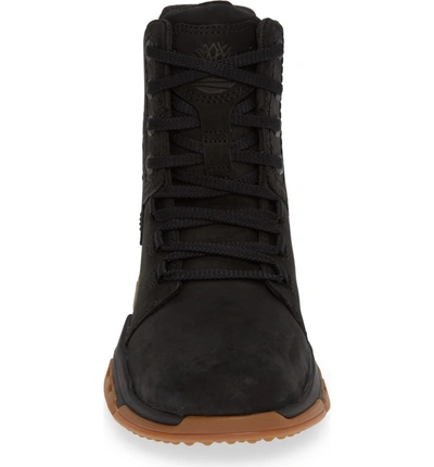 timberland city force 6