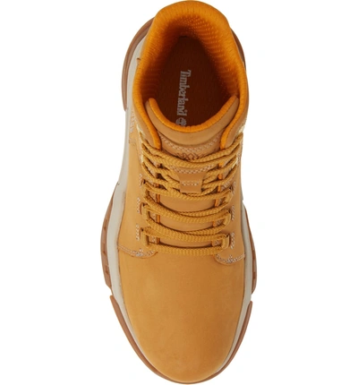 Shop Timberland City Force Reveal Plain Toe Boot In Wheat Leather/ Neoprene