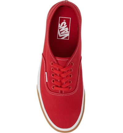 Shop Vans Authentic Gum Bumper Sneaker In Red/ True White