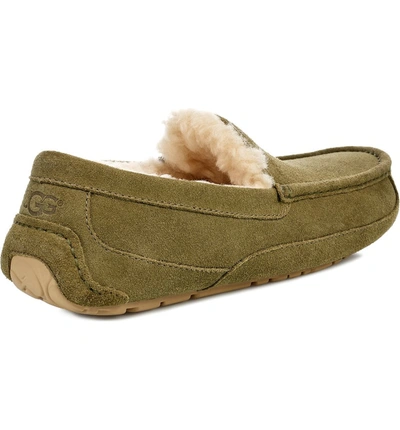 Shop Ugg Ascot Slipper In Moss Green Suede