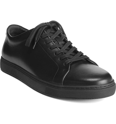 Shop Allen Edmonds Canal Court Sneaker In Black Leather