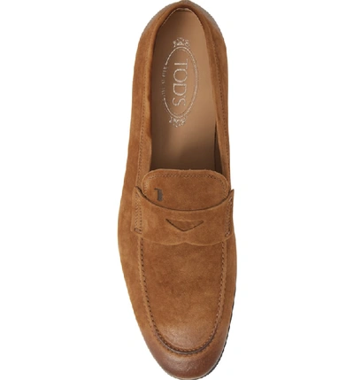 Shop Tod's 'mocassino' Suede Penny Loafer In Light Brown