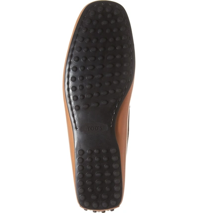Shop Tod's 'gommini' Penny Driving Moccasin In Brown