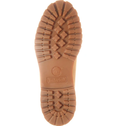 Shop Timberland Premium Gaiter Plain Toe Boot In Wheat/ Grape Nubuck