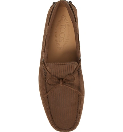 Shop Tod's Laccetto Gommino Driving Shoe In Brown