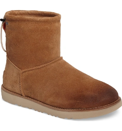 Ugg Men