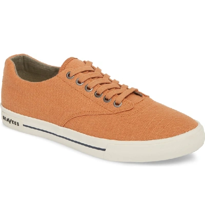Shop Seavees 'hermosa Plimsoll' Sneaker In Jasper Orange
