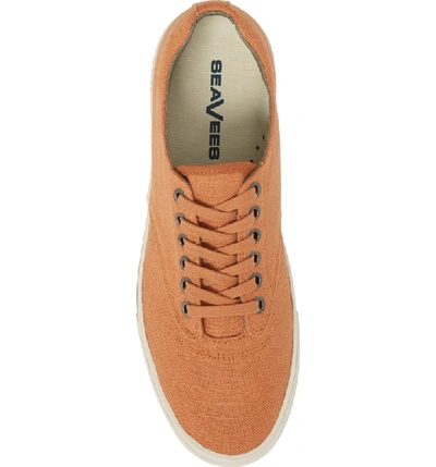 Shop Seavees 'hermosa Plimsoll' Sneaker In Jasper Orange