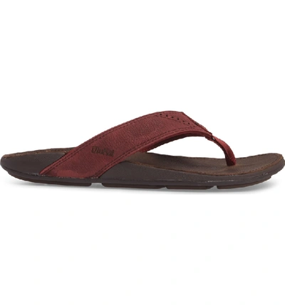 Shop Olukai 'nui' Leather Flip Flop In Terra/ Dark Wood Leather