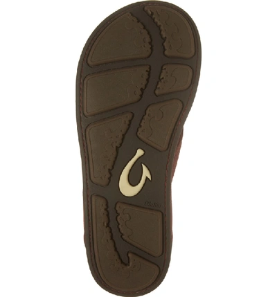 Shop Olukai 'nui' Leather Flip Flop In Terra/ Dark Wood Leather