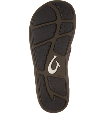 Shop Olukai 'nui' Leather Flip Flop In Dark Wood/ Clay Leather