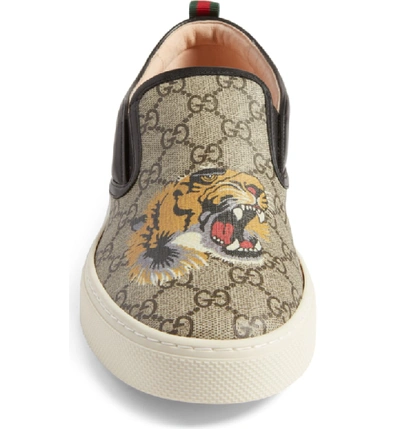 Shop Gucci Dublin Slip-on Sneaker In Beige Tiger