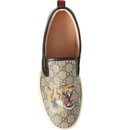 Shop Gucci Dublin Slip-on Sneaker In Beige Tiger