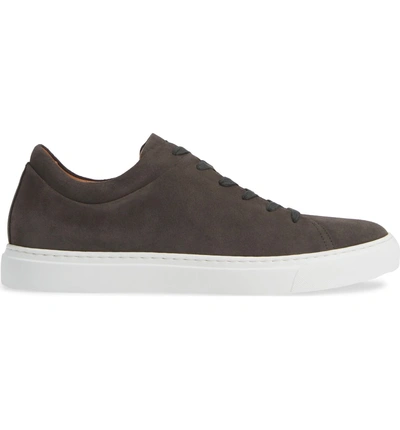 Shop Aquatalia Alaric Sneaker In Dark Charcoal