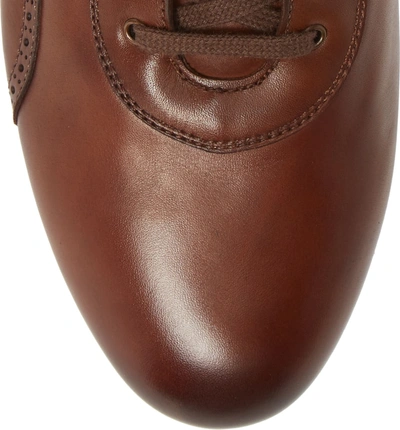 Shop Mezlan Pasquale High Top Sneaker In Cognac Leather