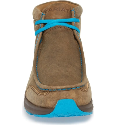Shop Ariat Spitfire Chukka Boot In Brown Bomber/ Blue Leather