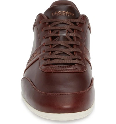 Shop Lacoste Storda Low Top Sneaker In Brown/ Off White