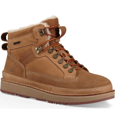 Shop Ugg Avalanche Hiker Waterproof Boot In Chestnut