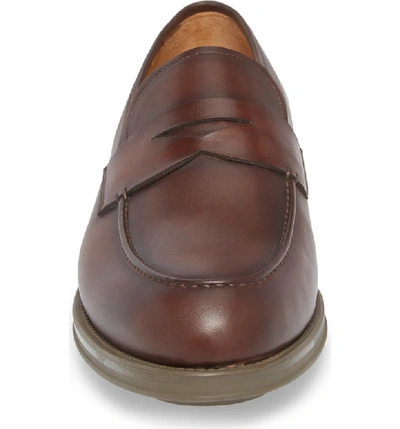 Shop Magnanni Bernardo Penny Loafer In Brown Leather