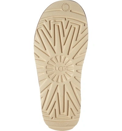 Shop Y/project X Ugg Genuine Shearling Slide Sandal In Brown