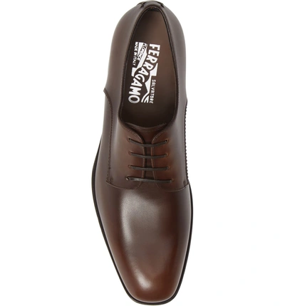 Shop Ferragamo Daniel Plain Toe Derby In Madera Brown