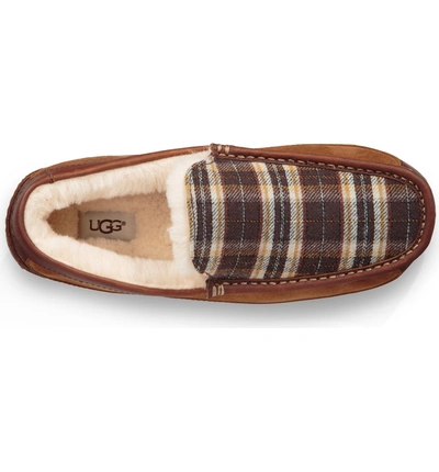 Ugg Men's Ascot Plaid Holiday Slippers Men's Shoes In Chestnut | ModeSens