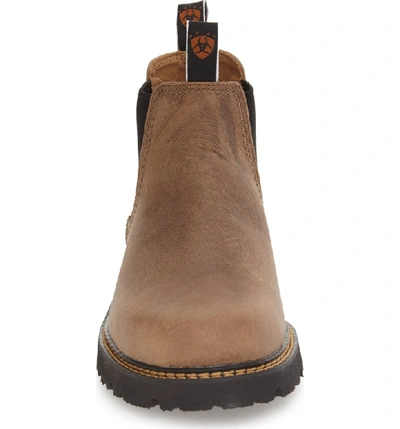 Shop Ariat 'spot Hog' Chelsea Boot In Prairie Sand Leather