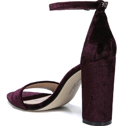 Shop Sam Edelman Yaro Ankle Strap Sandal In Raspberry Wine Velvet
