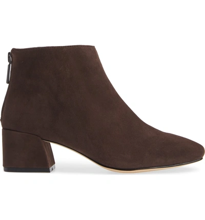 Shop Karl Lagerfeld Hayden Bootie In Chocolate Suede