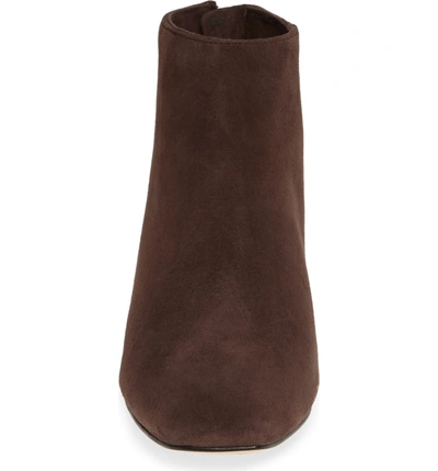 Shop Karl Lagerfeld Hayden Bootie In Chocolate Suede