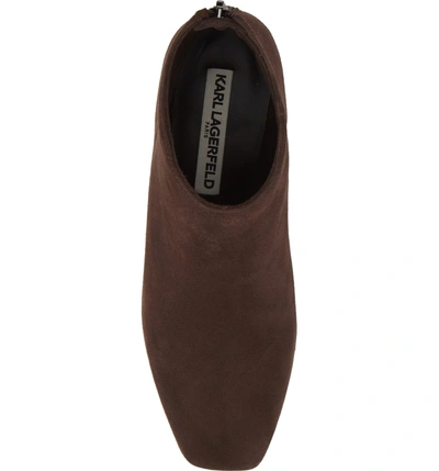 Shop Karl Lagerfeld Hayden Bootie In Chocolate Suede