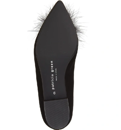 Shop Patricia Green Maribou Feather Pouf Flat In Black Suede