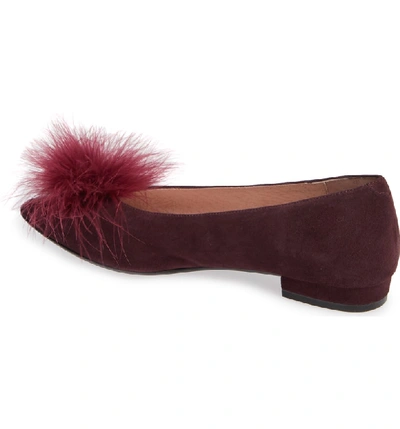 Shop Patricia Green Maribou Feather Pouf Flat In Claret Suede