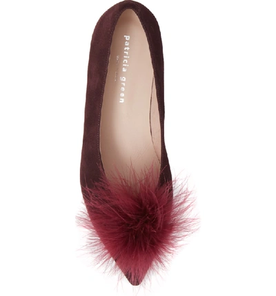 Shop Patricia Green Maribou Feather Pouf Flat In Claret Suede